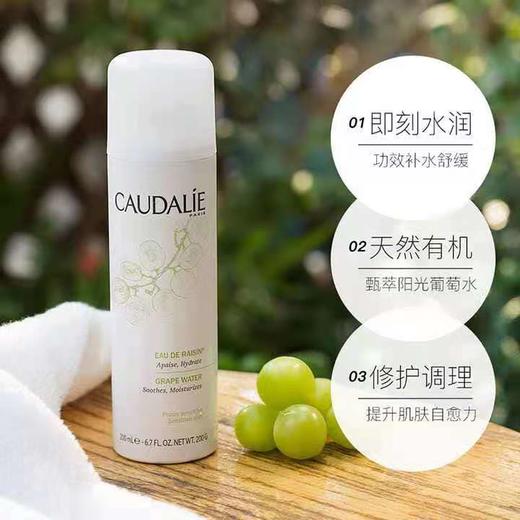 Caudalie欧缇丽葡萄籽大葡萄喷雾爽肤水保湿200ml 商品图3