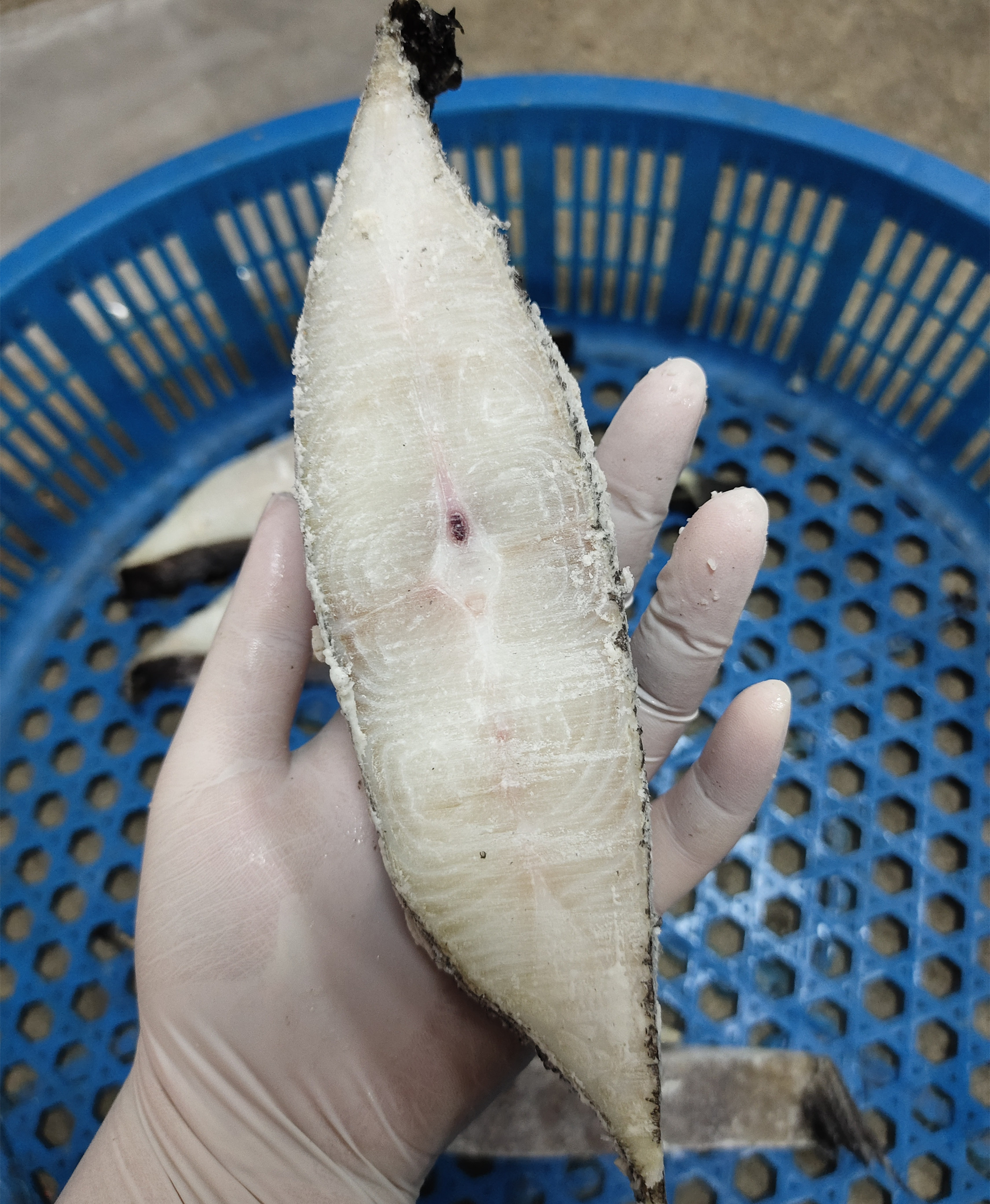 2斤鸦片鱼身干
