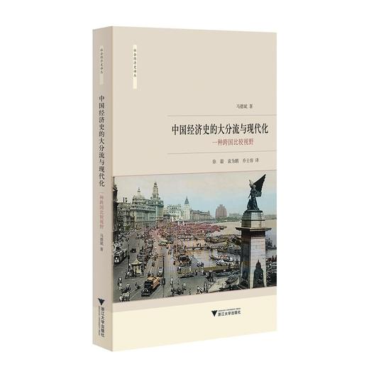 中国经济史的大分流与现代化/一种跨国比较视野/社会经济史译丛/马德斌/总主编:龙登高/译者:徐毅/袁为鹏/乔士容/浙江大学出版社 商品图0
