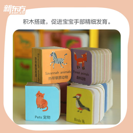 玩具书 小手掌积木书 （数学+生活+汽车+动物） 商品图1