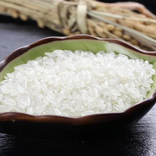 自然农法大米 10斤 商品图1