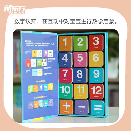 玩具书 小手掌积木书 （数学+生活+汽车+动物） 商品图4