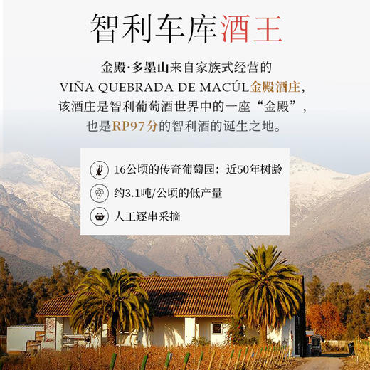 金色圣殿红酒Domus Aurea车库酒智利红酒原瓶原装进口干红葡萄酒 商品图2