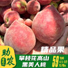攀枝花高山•黑美人桃4.5斤/5斤【现摘鲜果72小时内发货】 商品缩略图0