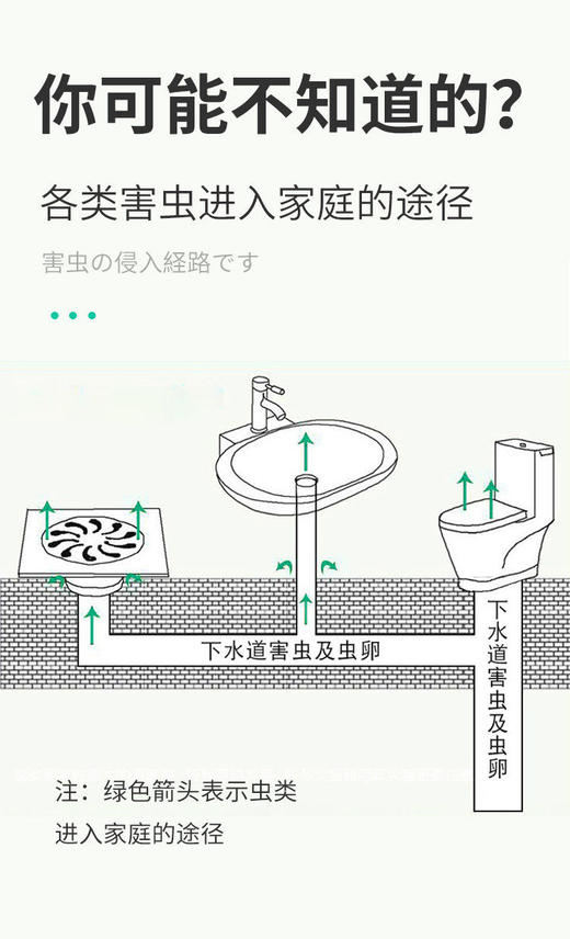 【蛾蚋飞蝇一喷全消失】日本金鸟进口卫生间下水道小飞虫驱灭喷剂双重防护绿色居家xj 商品图4