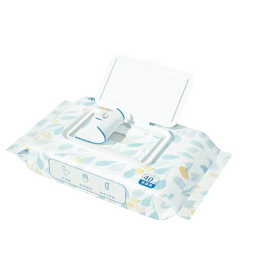 【“肛”需升级 卫生间里的小确幸】卫生湿厕纸 杀jun可降解 冲马桶不堵.  擦屁股洁厕湿巾 成人便携 40抽 商品图4