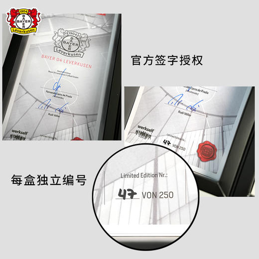 JAKO勒沃库森全队签名球衣礼盒限量随机颜色尺码 商品图4
