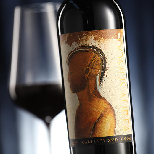 金色圣殿红酒Domus Aurea车库酒智利红酒原瓶原装进口干红葡萄酒 商品图5