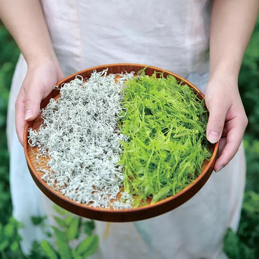 【张家界·咽喉土茶】张家界茅岩莓茶野生龙须藤茶莓茶嫩芽尖养生咽喉土茶120g 商品图4