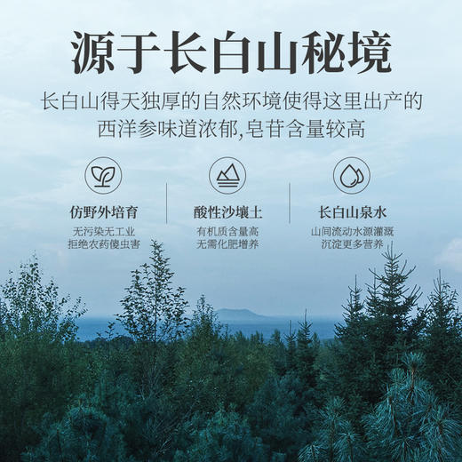 【杞里香西洋参6-8mm切片250g】花旗参片含片长白山产泡茶水
5年黄金参龄，皂甙含量更高 商品图4