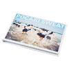预售 【中商原版】奥山由之 摄影写真作品集 POCARI SWEAT 宝矿力 日文原版 写真新世纪奖讲谈社出版文化写真奖人气摄影师 宝矿力 adidas zoff眼镜 商品缩略图2