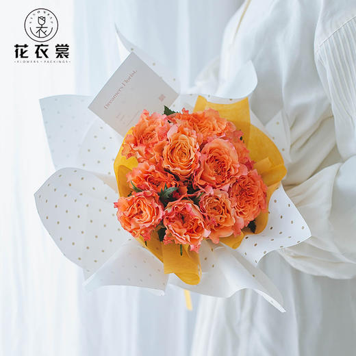 欧雅纸-辛西亚-小圆点 商品图2