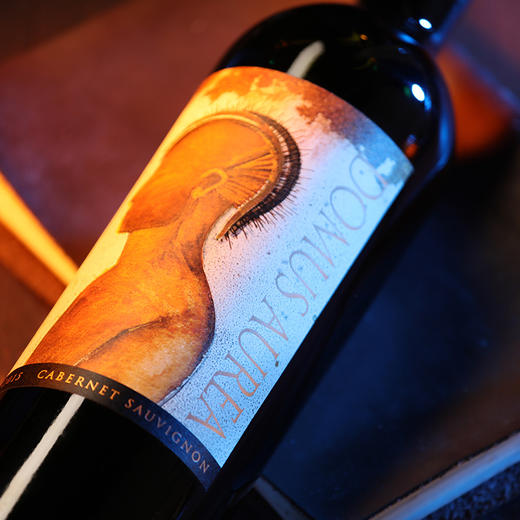 金色圣殿红酒Domus Aurea车库酒智利红酒原瓶原装进口干红葡萄酒 商品图7