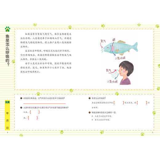 阅读力训练 科学+探索 全套6册 儿童学习阅读习惯早教训练读物 给孩子的第一套阅读启蒙书0-10岁幼儿亲子共读书籍 商品图3