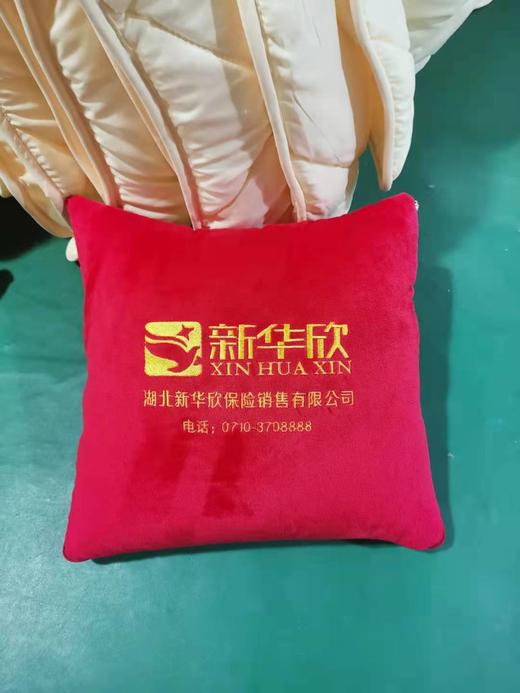 5.24-5.25业务伙伴福利—新华欣抱枕1个 商品图0