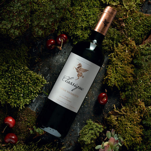 翡马·经典有机红葡萄酒 法国进口红酒 优级波尔多AOC级750ml 13.5° 商品图1