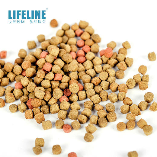 【补钙增产下沉】经典系列40%高蛋白稳产型3岁以上成体水龟 商品图2