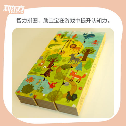 玩具书 小手掌积木书 （数学+生活+汽车+动物） 商品图3