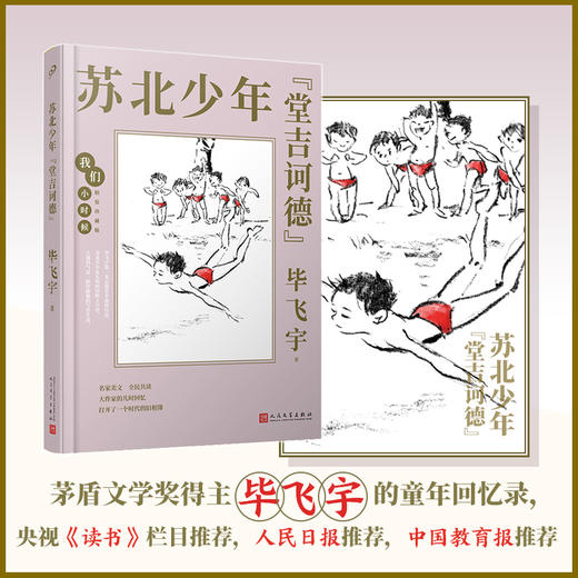 苏北少年“堂吉诃德” 我们小时候精装珍藏版 毕飞宇散文随笔文集家长与孩子共读的名家文学精选    3000782 商品图0