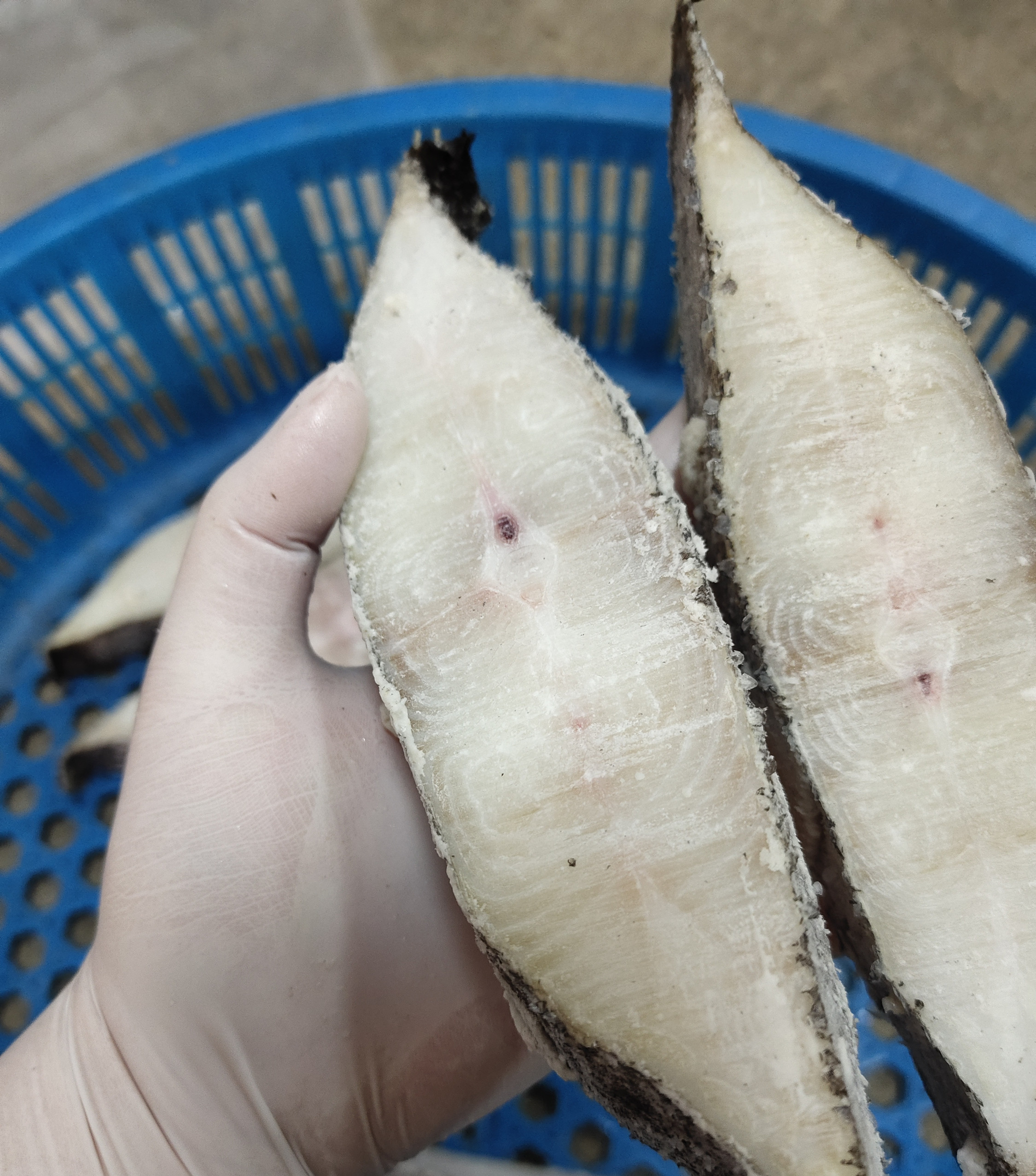2斤鸦片鱼身干