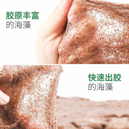 【限时送工具】水漾花田 小颗粒海藻面膜 商品图1