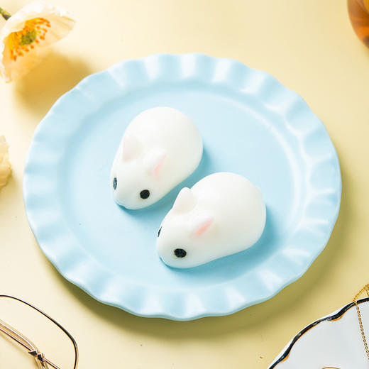 百钻兔子布丁模具果冻模 水晶月饼模塑料家用冰格烘焙工具2个 商品图1