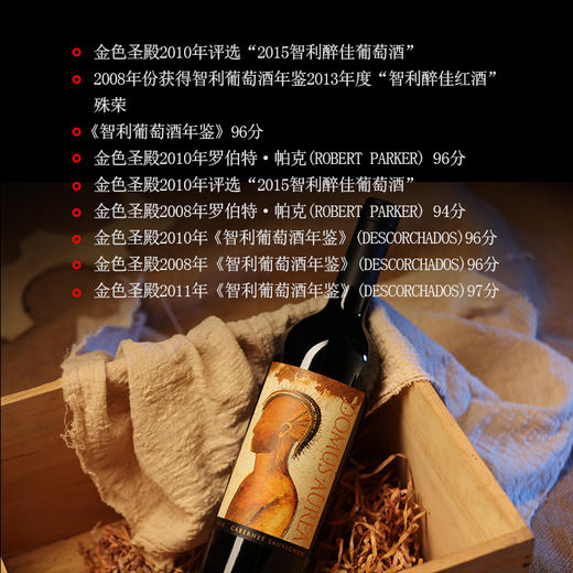 金色圣殿红酒Domus Aurea车库酒智利红酒原瓶原装进口干红葡萄酒 商品图4