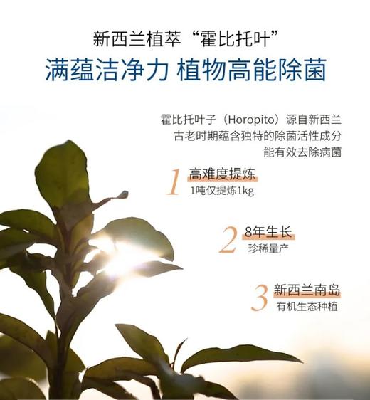 新西兰助产士、yao剂师力荐 新西兰「Lycocelle绽家」内衣洗衣液 安心守护每个特殊时期  植萃去渍留（ “白雪公主”）香 Horopito 达到99.9的灭Jun率 商品图13