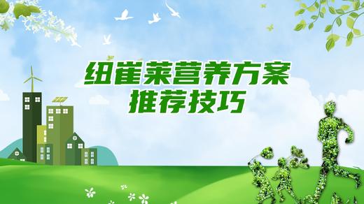 323大健康工作坊纽崔莱营养方案推荐技巧 商品图0