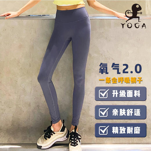 壁虎瑜伽2021【氧气2.0】单面磨毛无痕极简多色高弹九分裤 商品图0