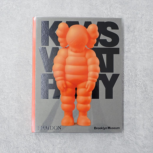 KAWS WHAT PARTY 正版进口艺术设计集英文原版画册 商品图2