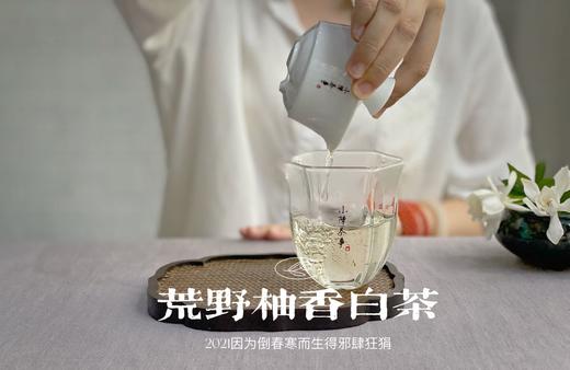 2021荒野柚香白茶，仿佛是在四月的春天，误入了一片柚子林（限时抢购） 商品图12