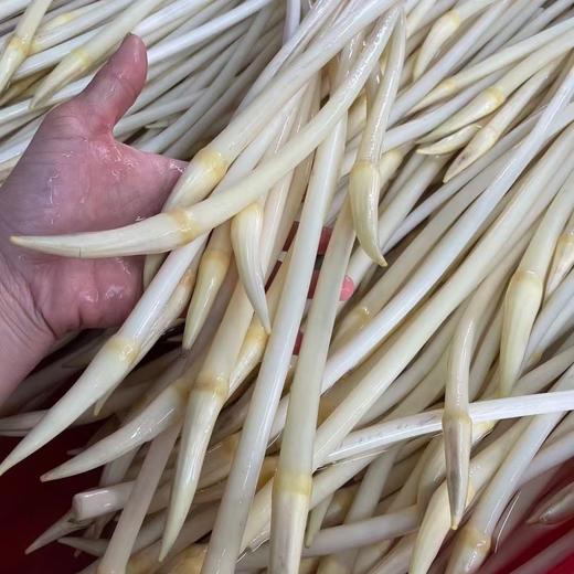 【下单后48小时左右发货】湖北 荆州 洪湖青泥巴 藕带2斤装左右 商品图12
