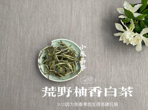 2021荒野柚香白茶，仿佛是在四月的春天，误入了一片柚子林（限时抢购） 商品图4