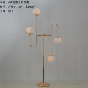 4头前途光明路引【运费自理】