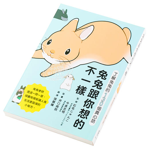 【中商原版】兔兔跟你想的不一样 了解兔兔的130个真心话 港台原版 石毛じゅんこ 今泉忠明 枫叶社文化 商品图2
