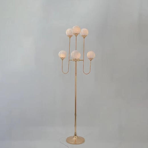 6头龙珠路引【运费自理】 商品图2