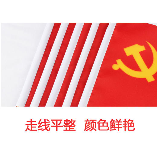 小国旗小党旗小红旗五环旗中国国旗纳米防水党旗团旗五星红旗大红旗旗帜广告旗班旗公司旗 商品图5