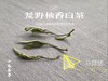 2021荒野柚香白茶，仿佛是在四月的春天，误入了一片柚子林（限时抢购） 商品缩略图9