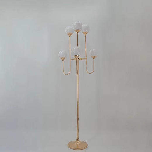 6头龙珠路引【运费自理】 商品图1