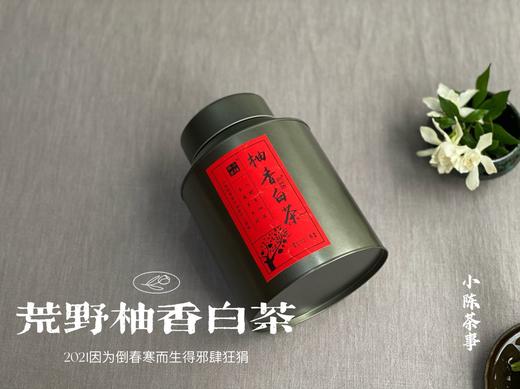 2021荒野柚香白茶，仿佛是在四月的春天，误入了一片柚子林（限时抢购） 商品图1