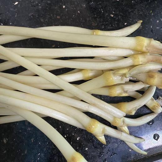 【下单后48小时左右发货】湖北 荆州 洪湖青泥巴 藕带2斤装左右 商品图13
