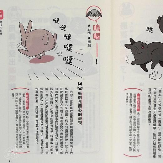 【中商原版】兔兔跟你想的不一样 了解兔兔的130个真心话 港台原版 石毛じゅんこ 今泉忠明 枫叶社文化 商品图5