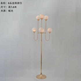 6头龙珠路引【运费自理】