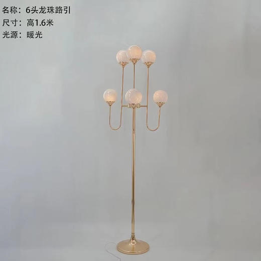 6头龙珠路引【运费自理】 商品图0