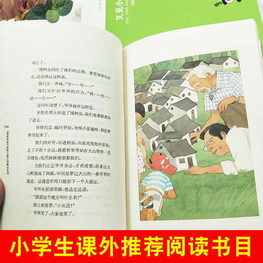 我喜欢你金波儿童文学精品系列我们都是小绿人/又见小绿人/追踪小绿人三部曲 6-12岁儿童文学三四五六年级小学生课外推荐阅读 商品图2