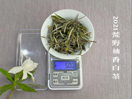 2021荒野柚香白茶，仿佛是在四月的春天，误入了一片柚子林（限时抢购） 商品图10