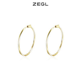 ZEGL欧美撞色大圆圈耳环女2021年新款潮气质耳钉耳扣高级感耳饰品