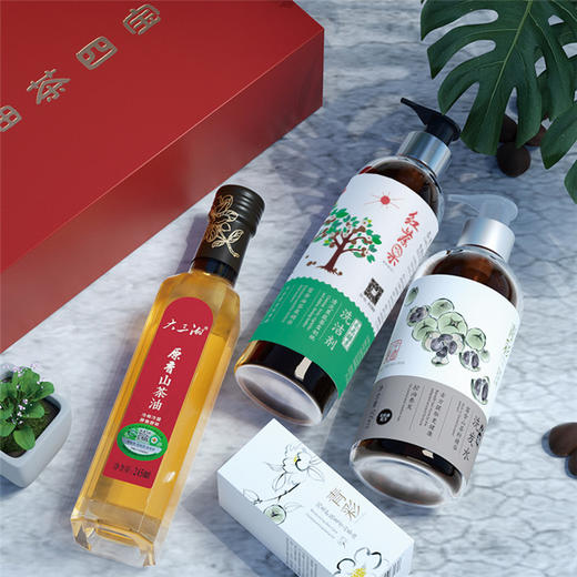 大三湘油茶四宝礼盒正宗野山茶油纯正食用油 商品图1