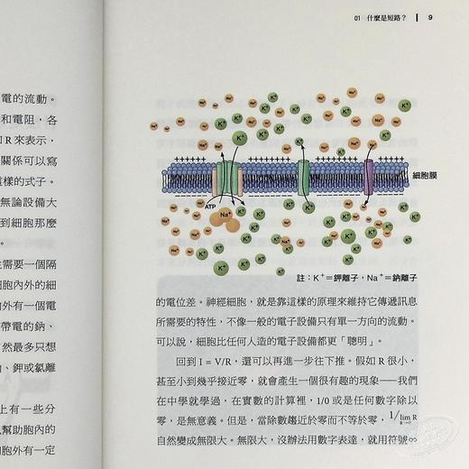 【中商原版】短路 台版原版 杨定一 天下生活 商品图0